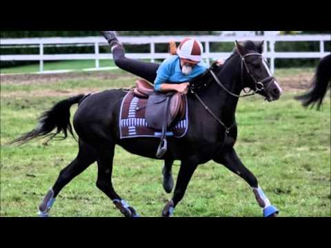 Rosie Welsh B kat 2 ponni salgsvideo