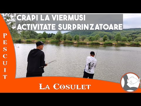 Pescaria Valea lui Mihai...crapi la cosulet cu viermusi