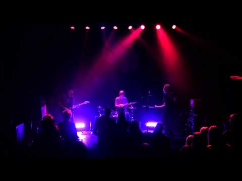 Prime Animals   Alive