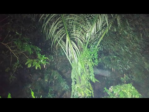 [LIVE] MISTERI MALAM INI ‼️KUNTILANAK MERAH DUDUK DI POHON AREN‼️