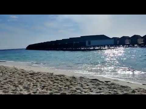 Vacations in Maldives(Anubha's Feedback) - Nitsa Holidays