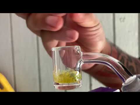 Bear Quartz Pro Banger with Terp Pearls