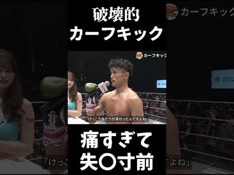 【破壊的カーフキックKO】衝撃的なカーフキックKOが危険すぎる！　総合格闘技