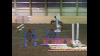 Prince - 9.2hh Miniature Pony Jumping