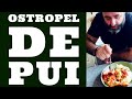 OSTROPEL DE PUI