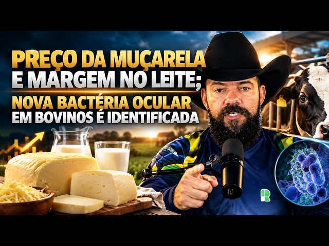 Preço da Muçarela e Margem no Leite; Nova Bactéria Ocular em Bovinos é Identificada.