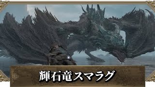 【エルデンリング】 輝石竜スマラグ ノーダメージ 攻略 【ELDEN RING】