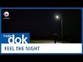 FRYSLAN DOK: Feel the Night