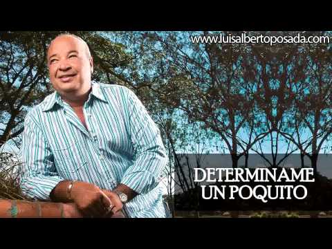Luis Alberto Posada - Determiname Un Poquito (Audio Oficial)