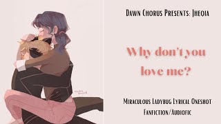 Why don't you love me Lyrical Oneshot (Marichat. Reveal. Angst) Miraculous Ladybug Fanfic/Audiofic