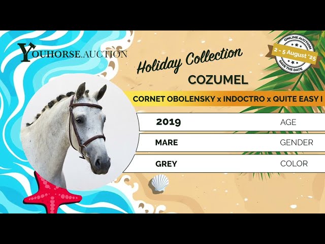 Cozumel