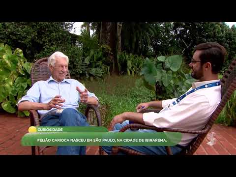 A origem do feijão carioca: de Ibirarema para o Brasil