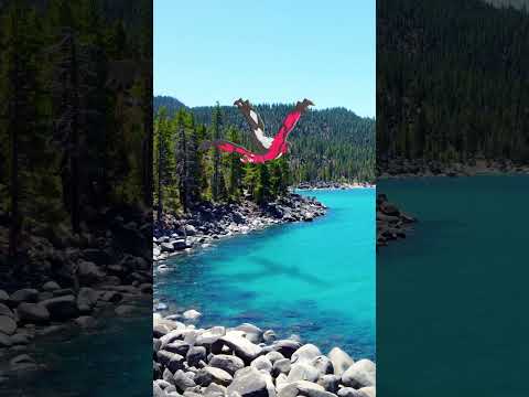 Yveltal and Xerneas arrive to Pokémon GO Tour: Kalos – Global!