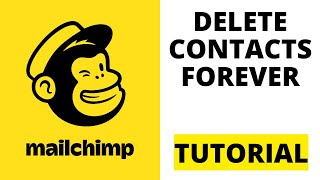 How To Delete Contacts in Mailchimp 2024