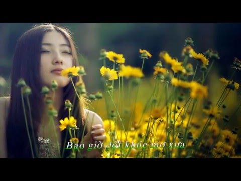 Giấc mơ thu về - Diệu Hiền