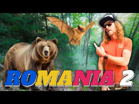 We Weren't Expecting to See THIS in Romania: Libearty Bear Sanctuary