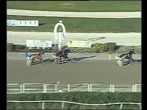 Trotto 17/12/2015 - prova di riqualifica