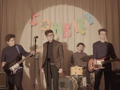 download lagu mp3 mp4 Sonbird, download lagu Sonbird gratis, unduh video klip Sonbird