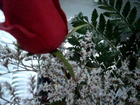 Maria Rosas sang "One Moment in Time"