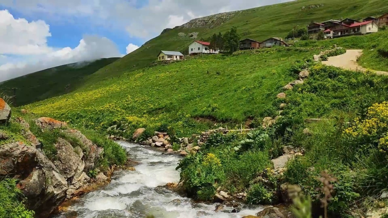 【川の音】高原を流れる清らかな川のせせらぎASMR【睡眠/集中/作業用】