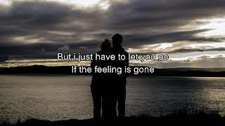 If the feeling is gone by Ella Mae Saison