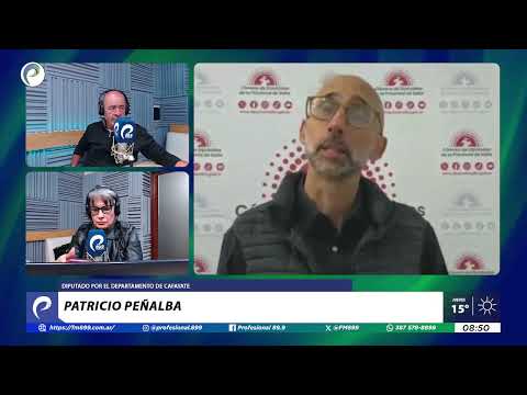 PATRICIO PEÑALBA, DIPUTADO POR EL DEPARTAMENTO DE CAFAYATE - 7/5/26