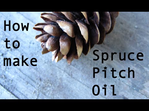 , title : 'How to make Spruce Pitch Herbal Infused Oil'