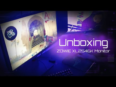 ZOWIE XL2546K eSports Gaming Monitor! (Honest Thoughts)