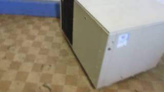 Gp3ra 036 免费在线视频最佳电影电视节目 Viveos Net