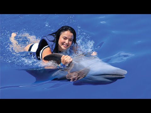 Swim with Dolphins & Sea Lions in Puerto Vallarta | Vallarta Adventures®