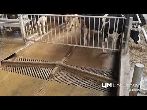 Delta vendeskraber fra LJM