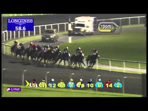 22.11.2012 Meydan (Dubai-UAE) 4.Race CBD Mortgage Loan 1.600 m