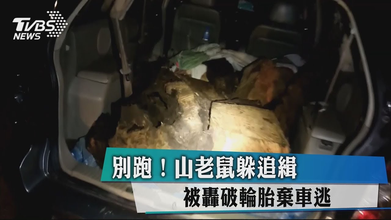 別跑!山老鼠躲追緝 被轟破輪胎棄車逃