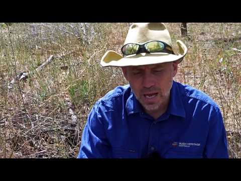 Jeroen van Veen on Bush Heritage Australia's Nardoo Hills Reserves (Vic)