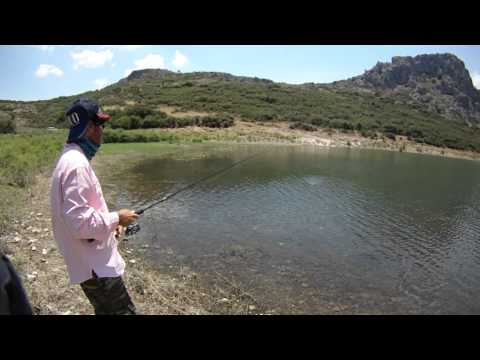 Fishing with DUO #14: Poco Poco VS Small Chub