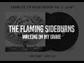 Tribute to Dead Moon Vol. 2 - THE FLAMING SIDEBURNS: Walking On My Grave