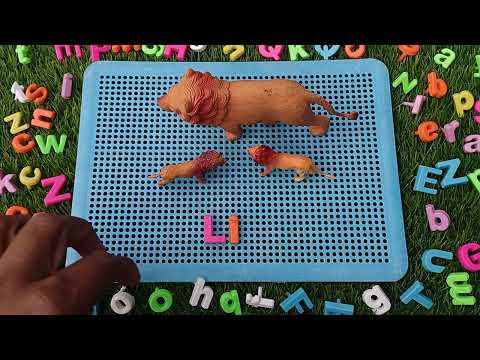 Learn Wild Animals Names & Sounds and spellings 13+ part 27