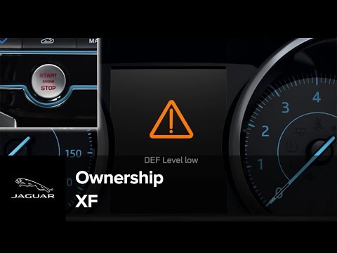 Jaguar XF 2017 | Diesel Exhaust Fluid (DEF)