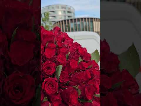 Doručení kytice růží naším rozvozem v Praze 4