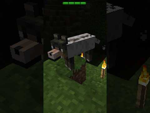 4 stvari koje niste znali o #minecraft 😄