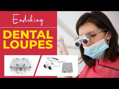 Endoking dental loupes