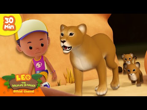 Witness21 Editor  2024 05 16