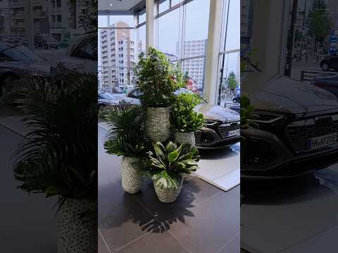 ■343 輸入車ショールーム装花