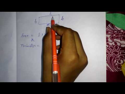 Rectangle / Aayat / Area of rectangle / Perimeter of rectangle / Length Bridth / Surya Maths