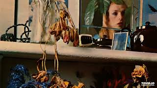 Brian Eno - Here Come The Warm Jets