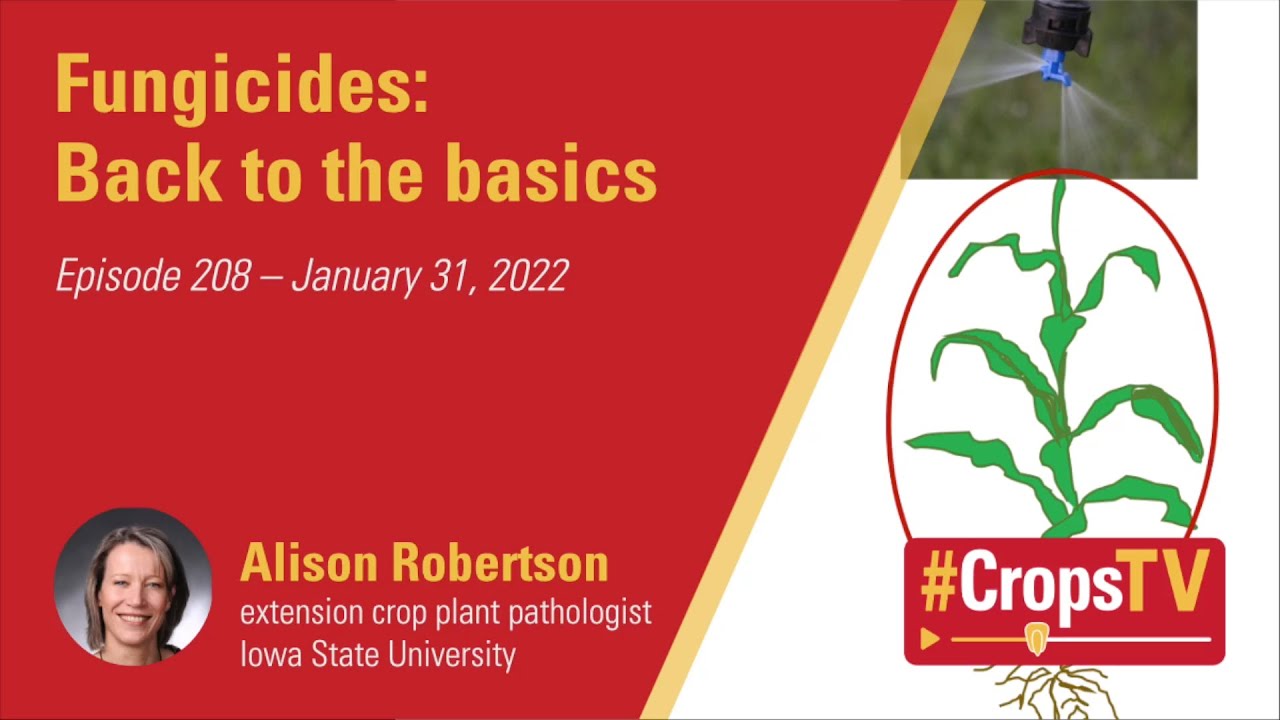 Fungicides: Back to the basics