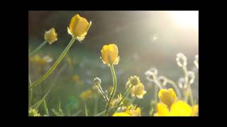 Download lagu progressive muscle relaxation with music accompaniment h264 27944 mp3 Download lagu progressive muscle relaxation with music accompaniment h264 27944 mp3