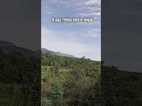 Cavalcante é um município brasileiro em Goiás,  fica cerca de 320 km de Brasília e 500 km de Goiânia