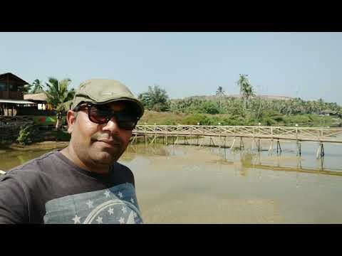 Mandrem beach Goa . One of the most famous beach for Russian tourist in Goa.