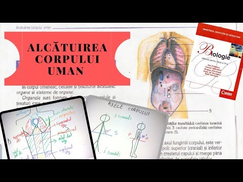 ADMITERE MEDICINA: ALCATUIREA CORPULUI UMAN - Topografia organelor si sistemelor de organe